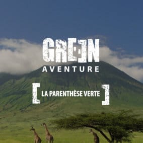 Création de marque Green Aventure